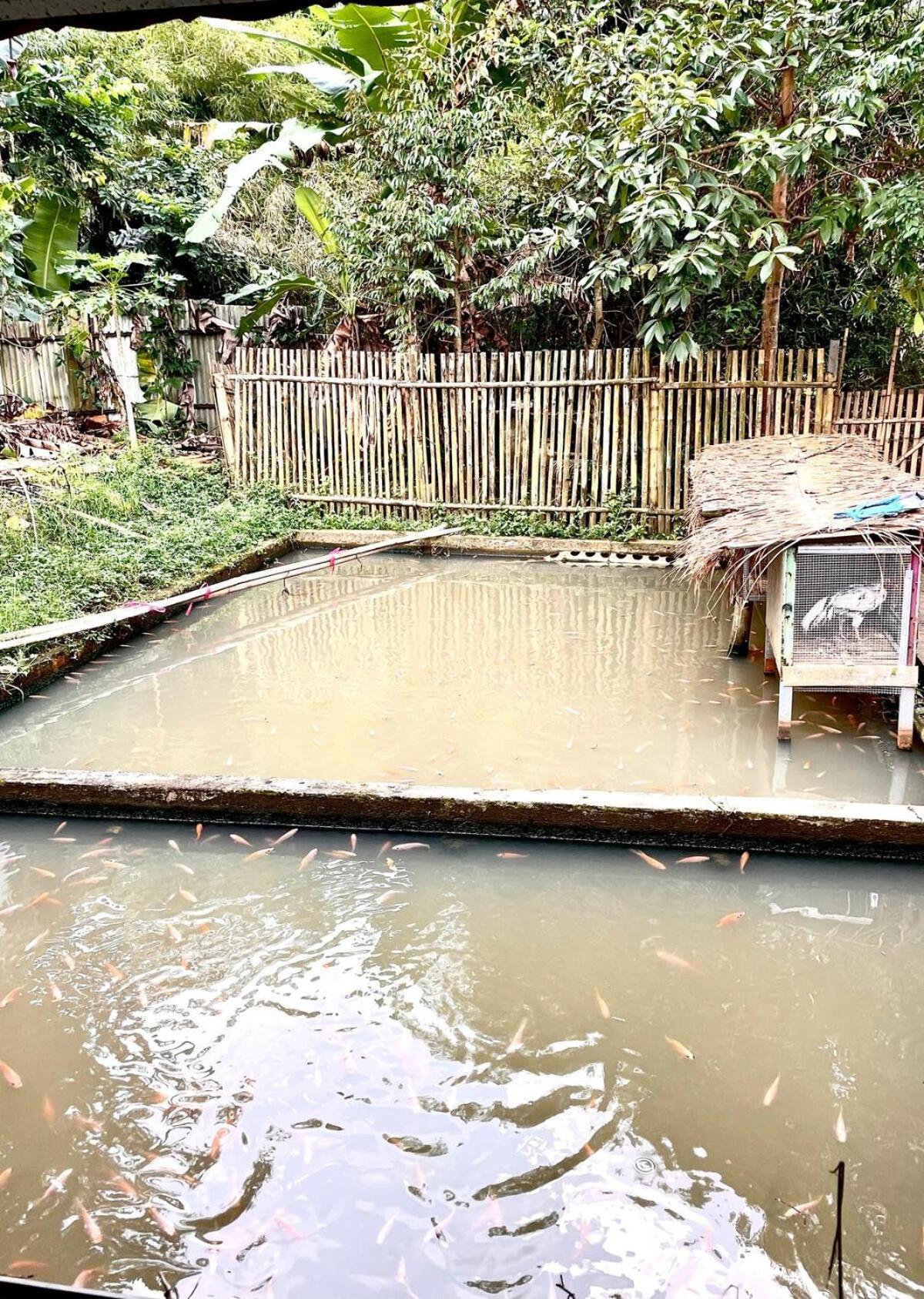 Kampung Mamah Grandma House Bandung